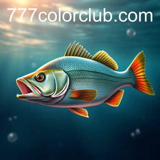 Security and Trust 777Color - International Licenses and Certifications